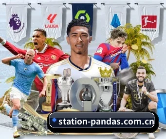 station-pandas.com.cn APP